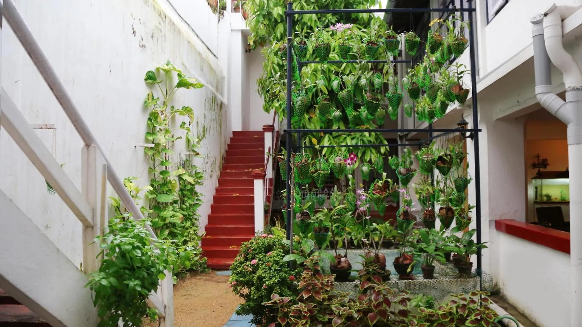 Walton'S Homestay, Fort Cochin Fort Kochi India